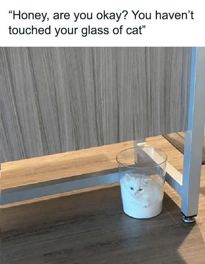 Funny-Uncomfortable-Memes