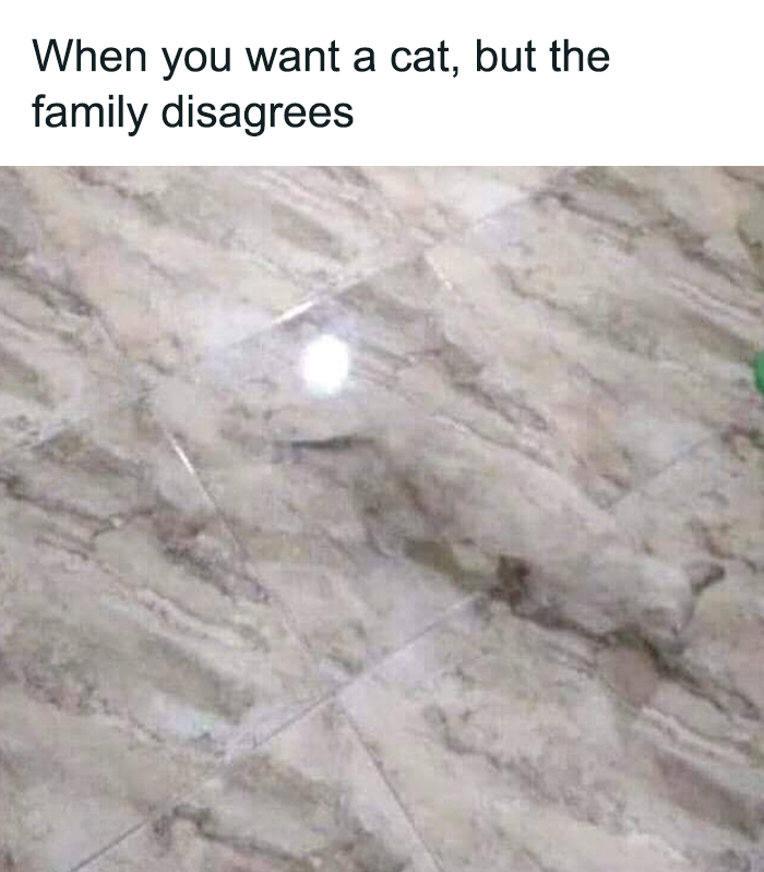 Funny-Uncomfortable-Memes