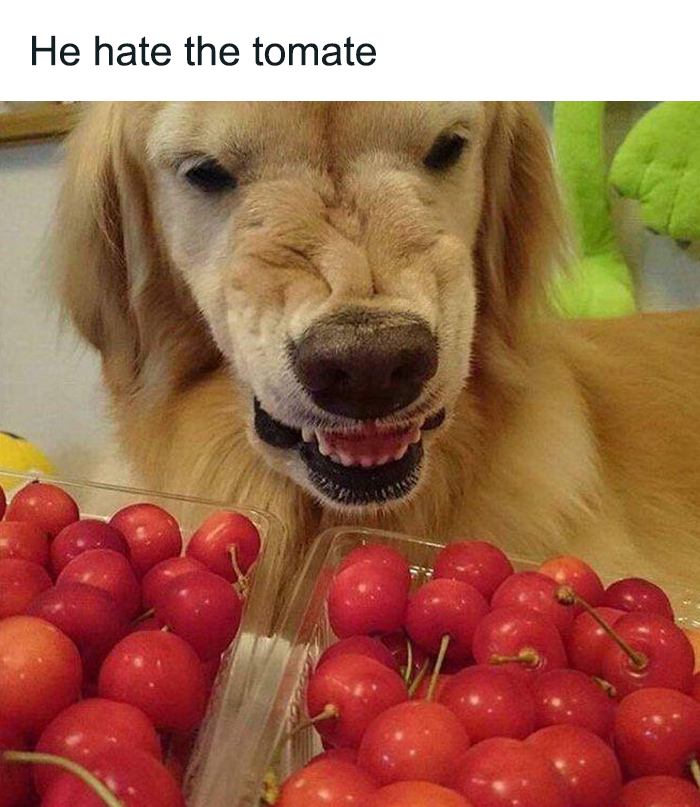 Funny-Uncomfortable-Memes