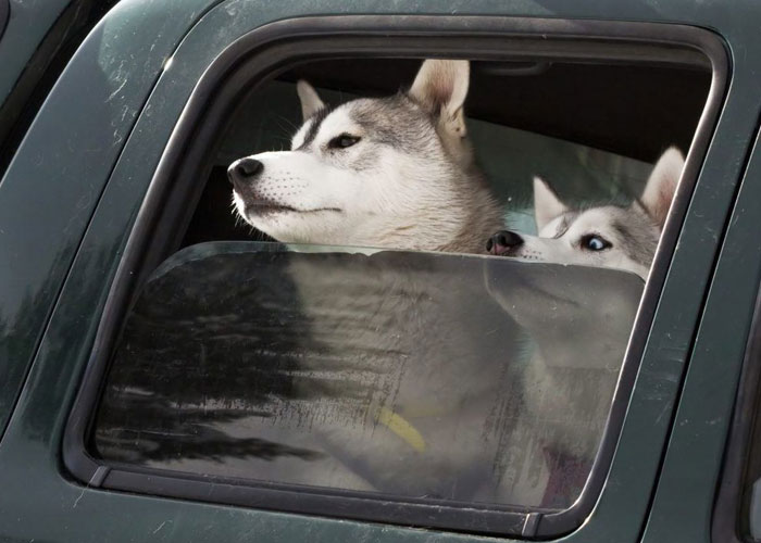 "I'm Dating An Idiot": 40 Funny Moments When People Realized The Person They're Dating Isn't Very Sharp