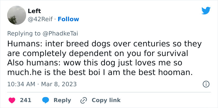 &ldquo;Your Dog And Cat Do Not &lsquo;Love&rsquo; You&rdquo;: Person Attempts To &lsquo;Debunk Myth&rsquo; On The Nature Of Pet-Owner Relationships, Gets Slammed Heavily In Return