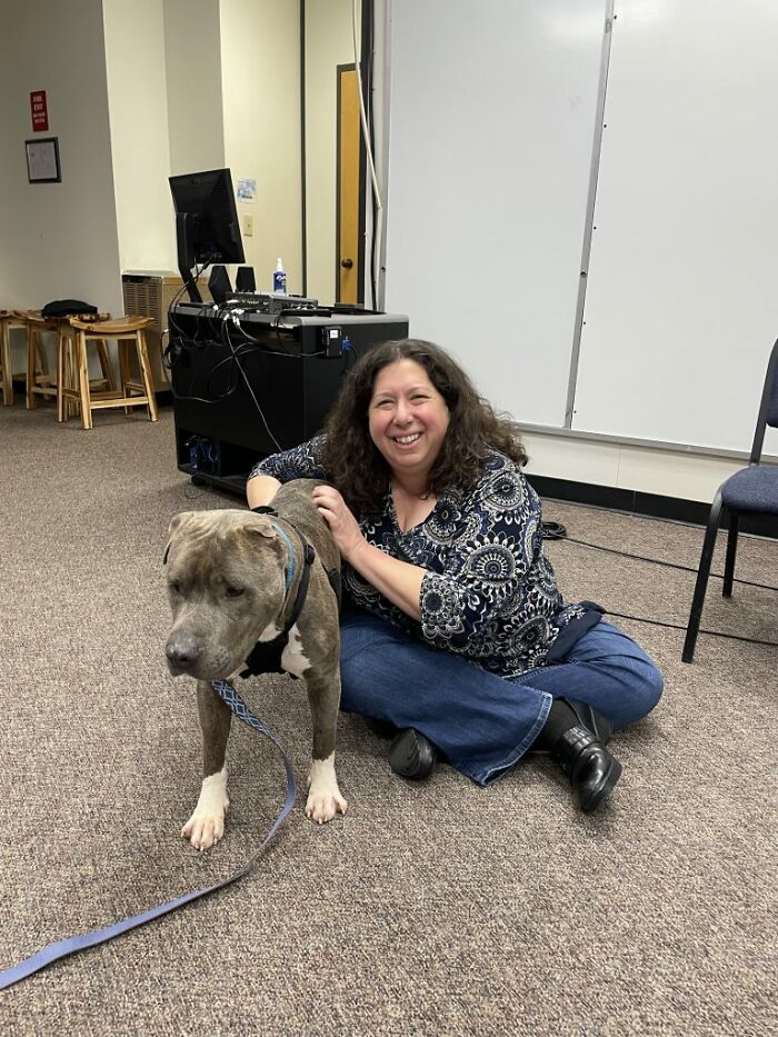 Meet Bruno, A One-Eared Pitbull Who Went Viral After His Caretakers Discovered He Had Pulled Out The Same Ear From His Plush Toy