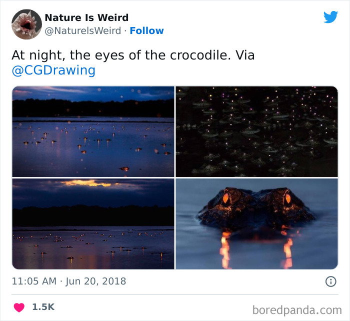 Weird-Interesting-Nature-Facts-Pics