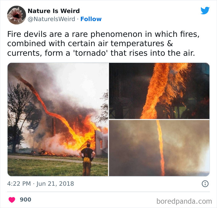 Weird-Interesting-Nature-Facts-Pics