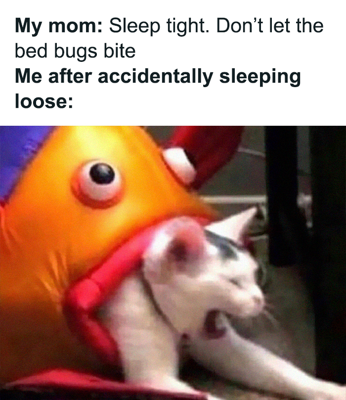 Funny-Uncomfortable-Memes