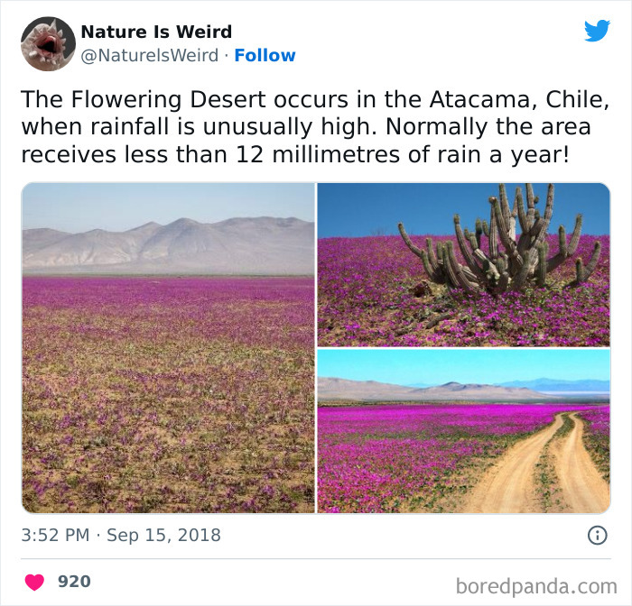 Weird-Interesting-Nature-Facts-Pics