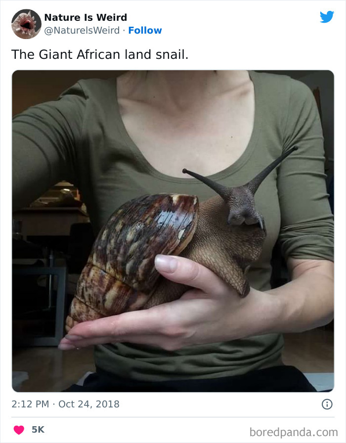 Weird-Interesting-Nature-Facts-Pics