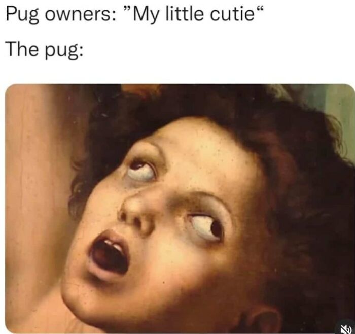 Funny-Classic-Art-Memes-Moderated