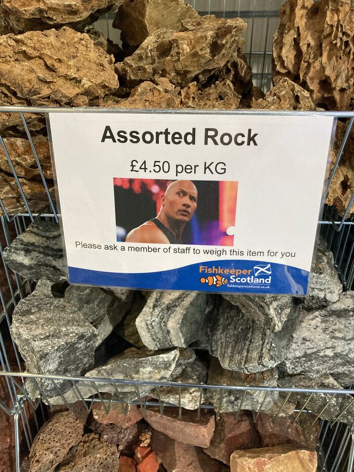 Terrible-Funny-Signs