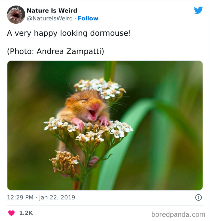 Weird-Interesting-Nature-Facts-Pics