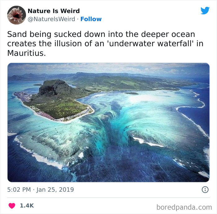 Weird-Interesting-Nature-Facts-Pics