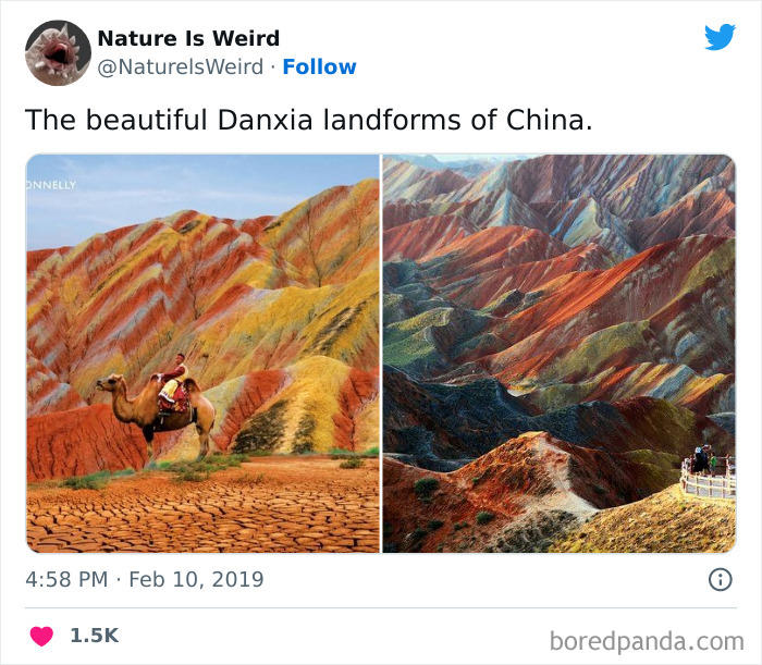 Weird-Interesting-Nature-Facts-Pics