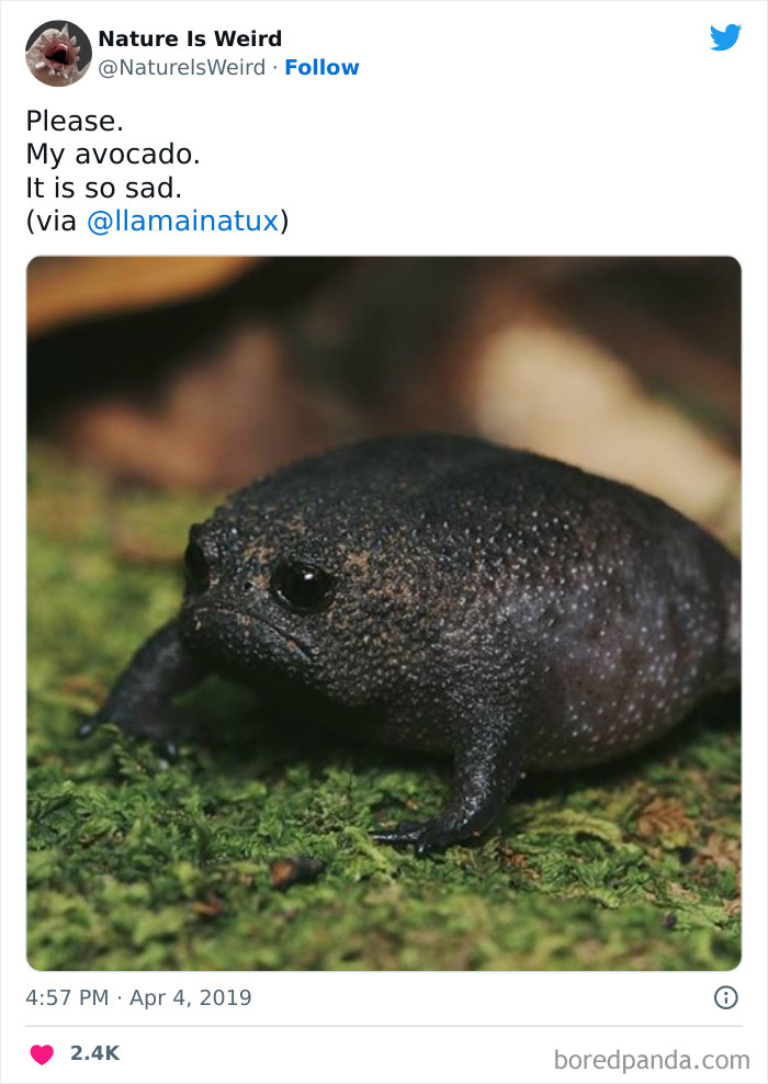 Weird-Interesting-Nature-Facts-Pics