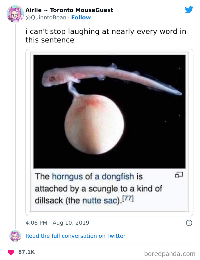 The Scientists Had Fun Naming These