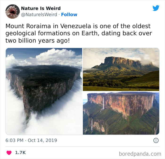 Weird-Interesting-Nature-Facts-Pics