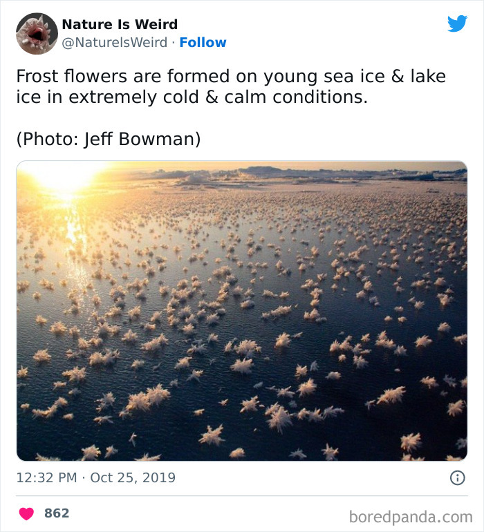 Weird-Interesting-Nature-Facts-Pics