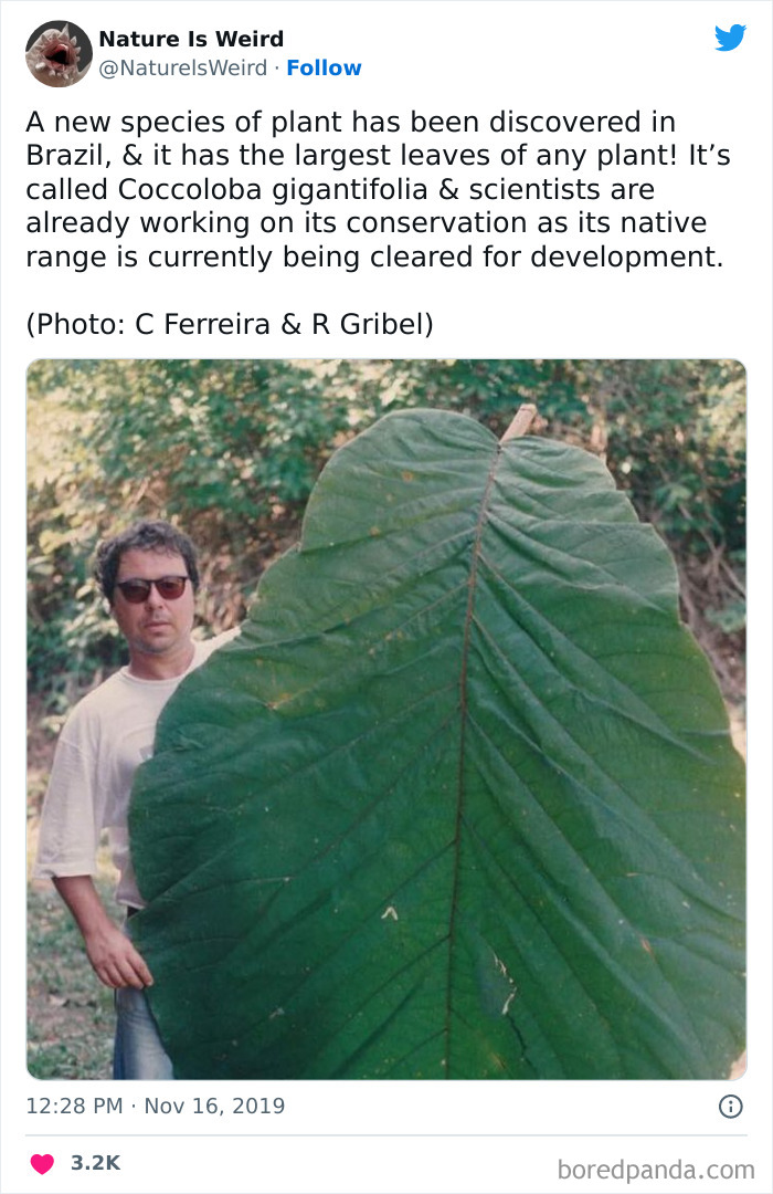 Weird-Interesting-Nature-Facts-Pics