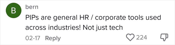 Woman Puts Boyfriend On Performance Improvement Plan And People Can't Decide If It's Weird Or Genius