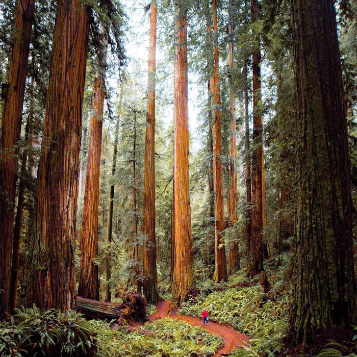 30 Places In The US That Are So Beautiful, Everyone Should Visit Them At Least Once