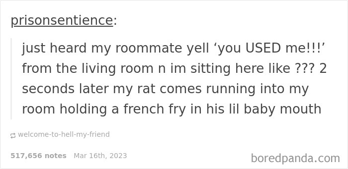 Funny-Weird-Tumblr-Screenshots-Antisocialduckling