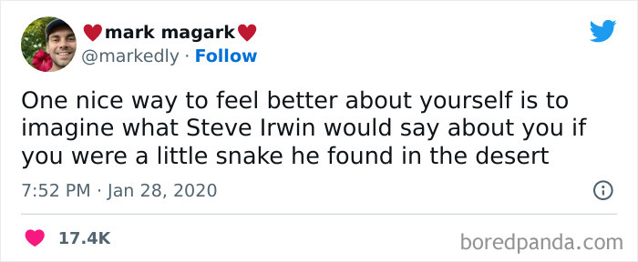 Tweet discussing imagining Steve Irwin finding you as a desert snake, from a Facebook group sharing hilarious memes for nerds.