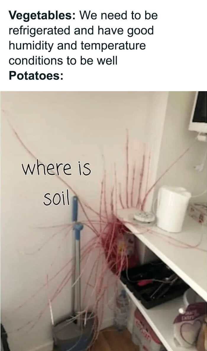 I Can Completely Confirm That Potatoes Are Alien