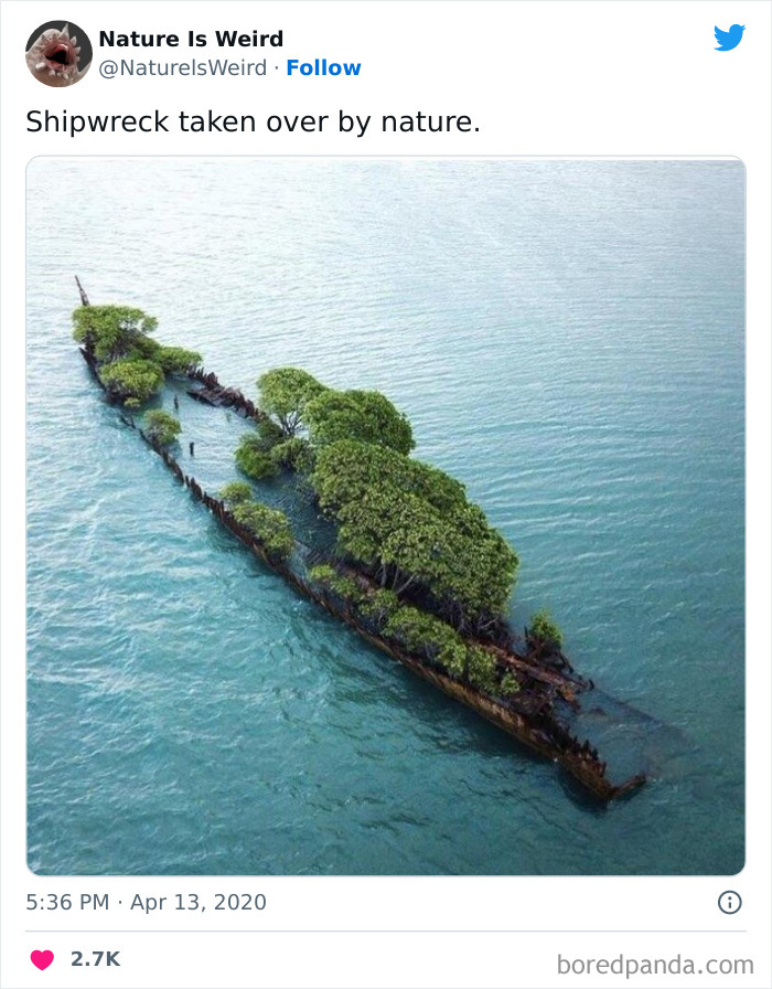Weird-Interesting-Nature-Facts-Pics