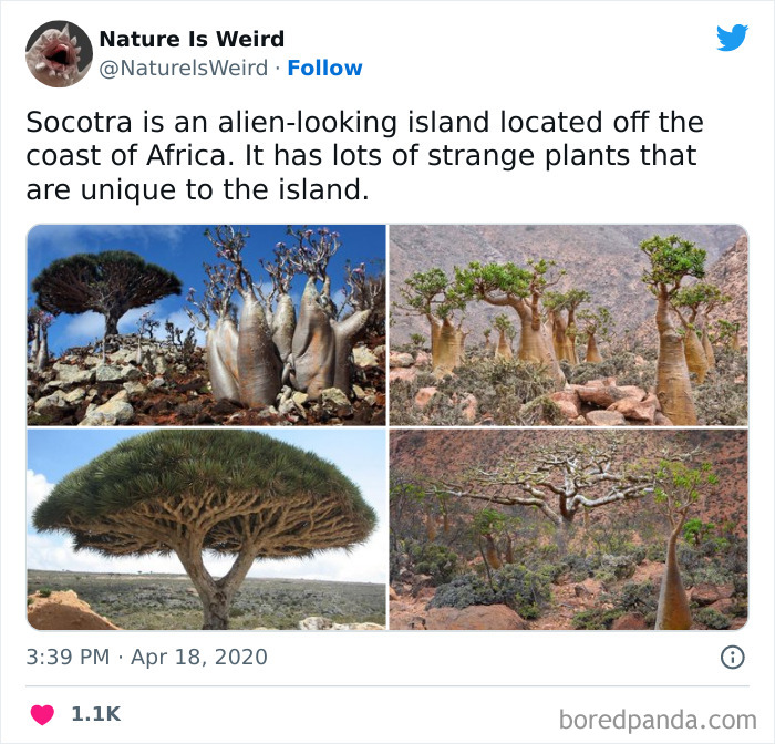 Weird-Interesting-Nature-Facts-Pics