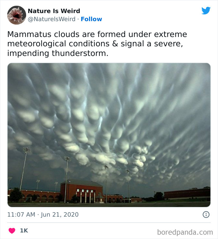 Weird-Interesting-Nature-Facts-Pics