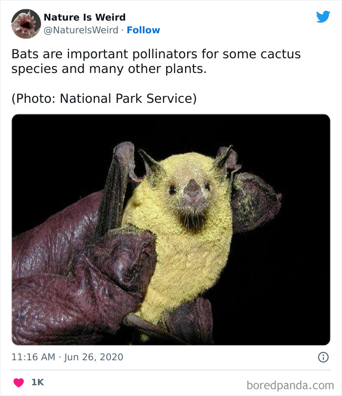 Weird-Interesting-Nature-Facts-Pics