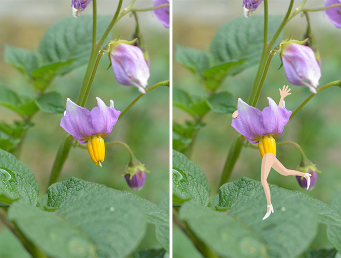 Creative Illustrator Sees Life In Everyday Street Objects