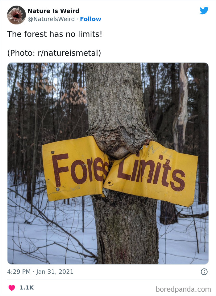 Weird-Interesting-Nature-Facts-Pics