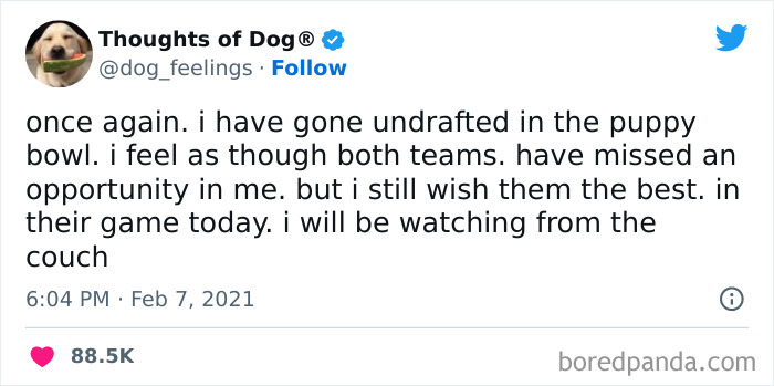 Funny-Tweets-Thoughts-Of-Dog Funny-Tweets-Thoughts-Of-Dog
