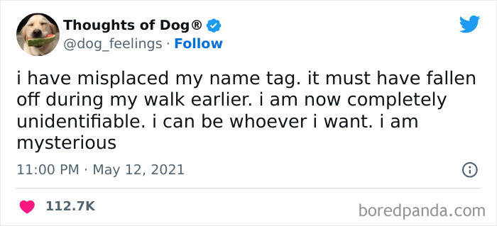 Funny-Tweets-Thoughts-Of-Dog