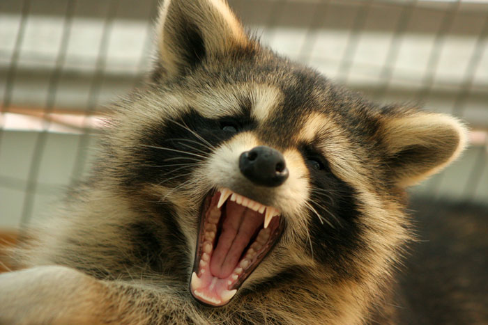 30 Facts That Might Make You Think “Well, That’s Enough Internet For One Day”, As Shared By Folks In This Online Group