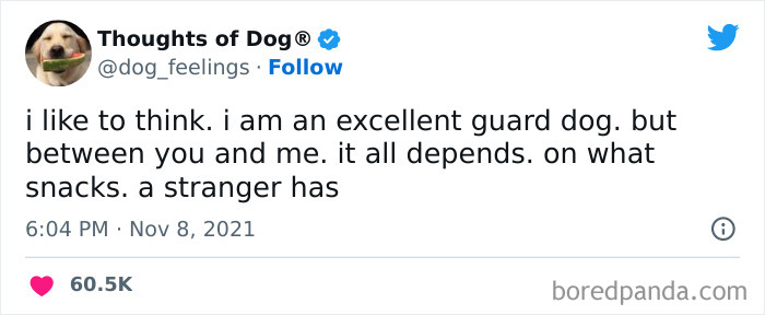 Funny-Tweets-Thoughts-Of-Dog Funny-Tweets-Thoughts-Of-Dog