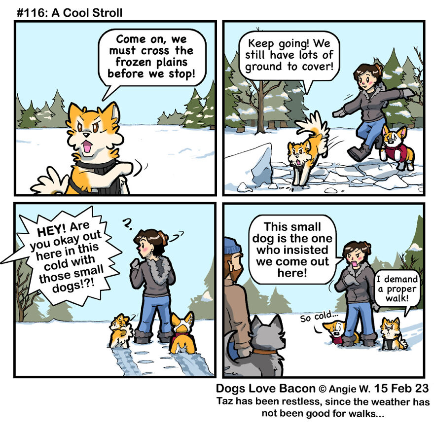 25 Comics That I Drew About The Lives Of My Rescue Dogs!