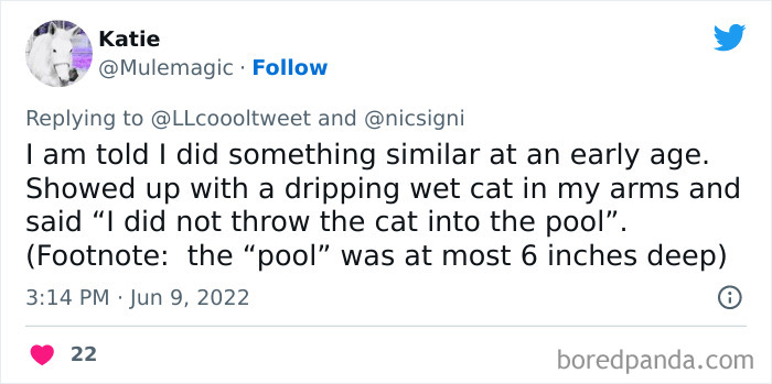 Kids-Definitely-Didnt-Do-It-Stories