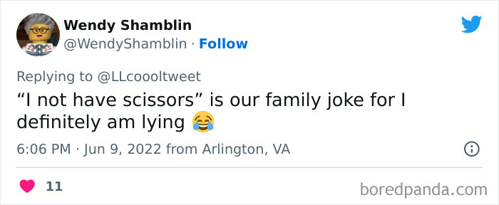 Kids-Definitely-Didnt-Do-It-Stories