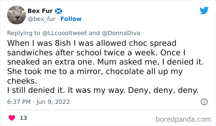 Kids-Definitely-Didnt-Do-It-Stories