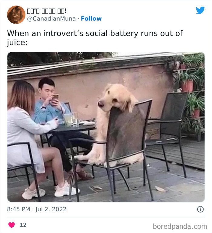 Introvert-Problems-Funny-Pics