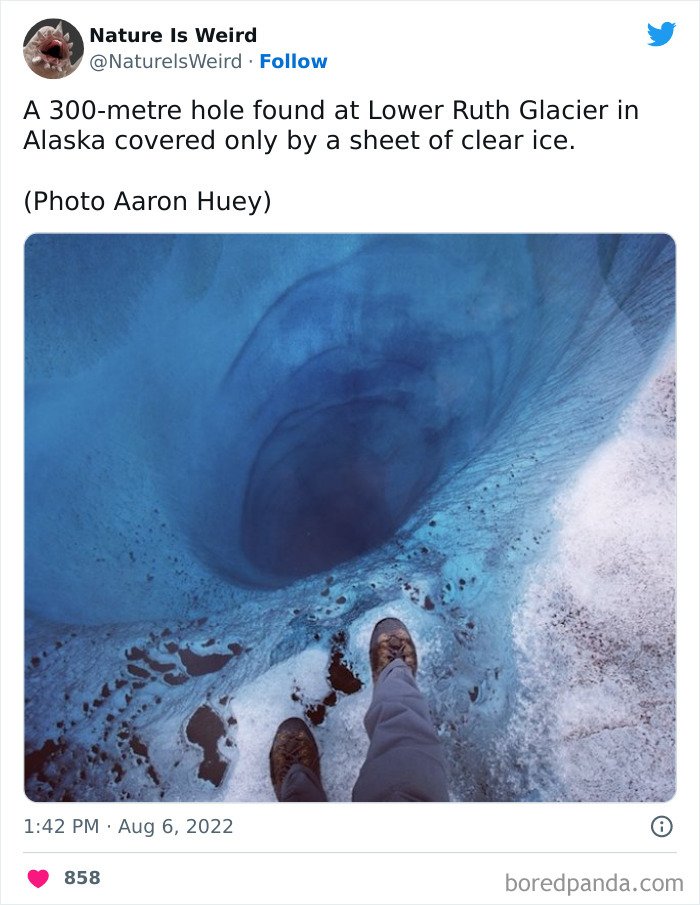 Weird-Interesting-Nature-Facts-Pics