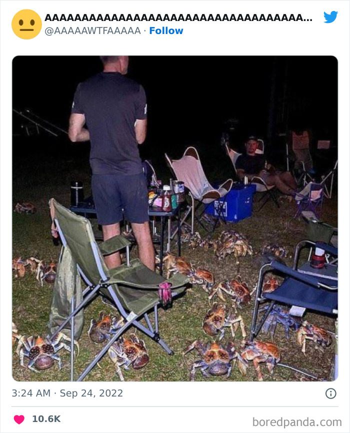 Weird funny scene of people camping surrounded by numerous crabs at night.