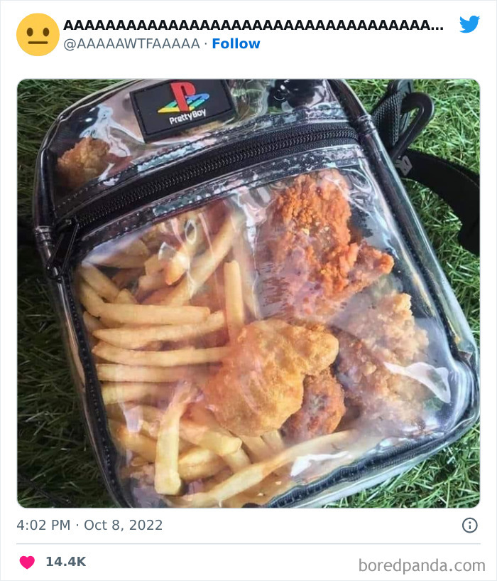Transparent backpack filled with fried chicken and fries on grass, showcasing a weirdly funny scene.