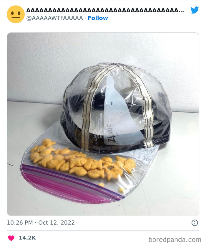 Weird funny cap using a Ziploc bag as its brim, filled with goldfish crackers.