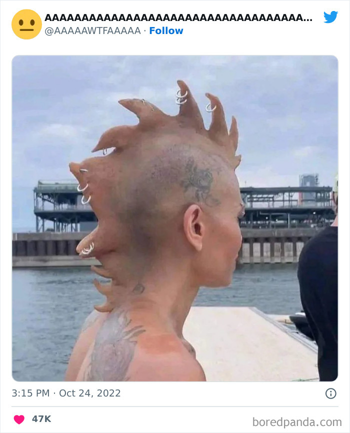 Person with a mohawk styled to look like claws, standing by a waterfront. A weird and funny hairstyle moment captured.