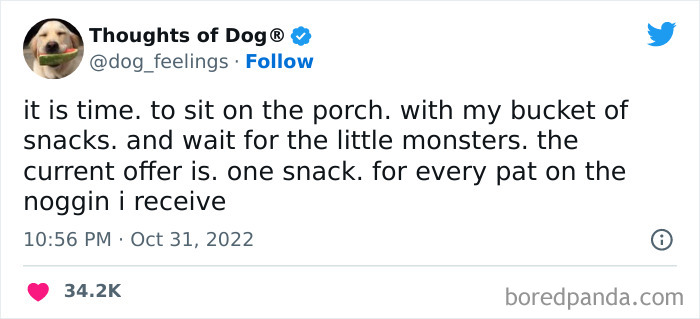 Funny-Tweets-Thoughts-Of-Dog