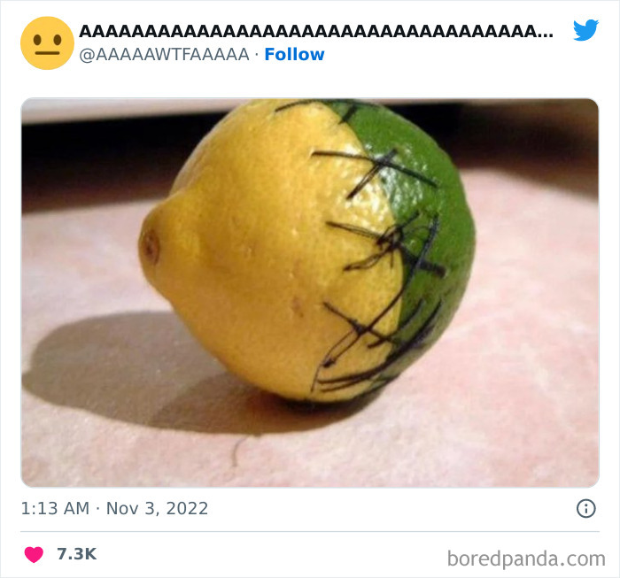 Half lemon, half lime sewn together with black thread, showcasing a weirdly funny internet image.