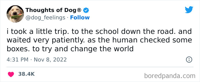 Funny-Tweets-Thoughts-Of-Dog