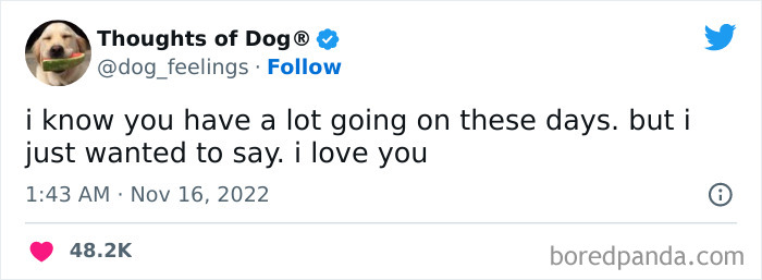 Funny-Tweets-Thoughts-Of-Dog